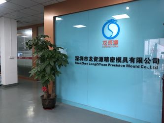 Shenzhen Longziyuan Precision Mould Co.,Ltd